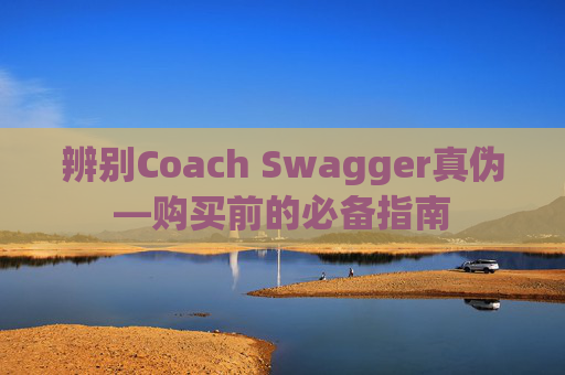 辨别Coach Swagger真伪—购买前的必备指南